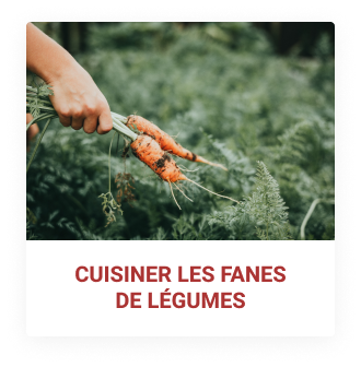 Cuisiner les fanes de légumes