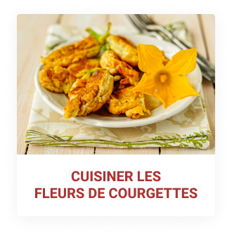 Cuisiner les fleurs de courgettes