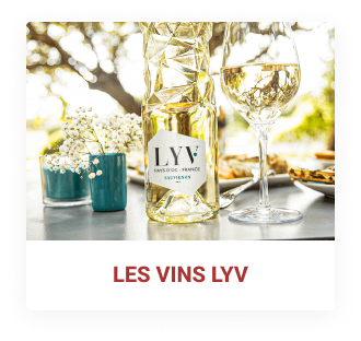 vins LYV