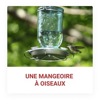 DIY : mangeoire à oiseaux