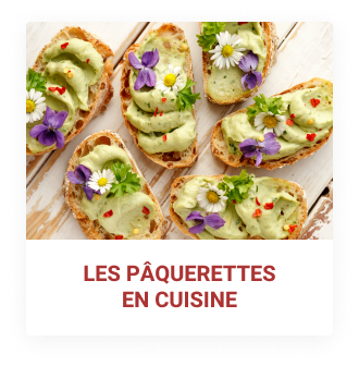 Cuisiner les pâquerettes