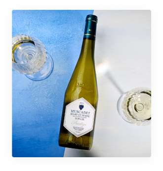 AOP Muscadet Sèvre et Maine sur Lie