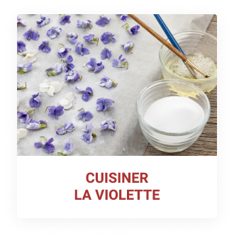 Cuisiner la violette