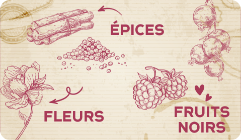 Les arômes des vins de Fronton