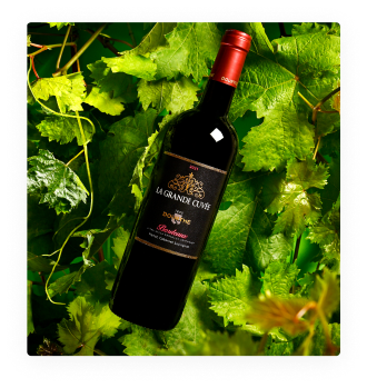 AOC Bordeaux Dourthe La Grande Cuvée