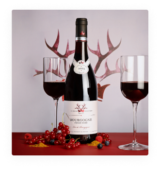 Vin de France Reine Pedauque