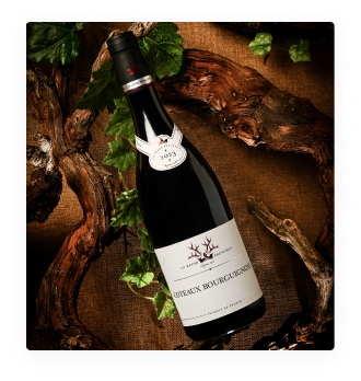 AOP Coteaux Bourguignons Reine Pedauque