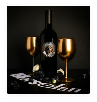 IGP Pays d'Oc Camplong Marselan