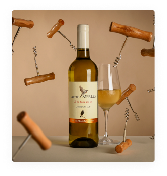 IGP Côtes de Gascogne