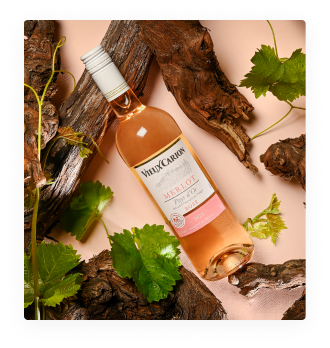 IGP(2) Pays d'Oc Merlot Vieux Carion