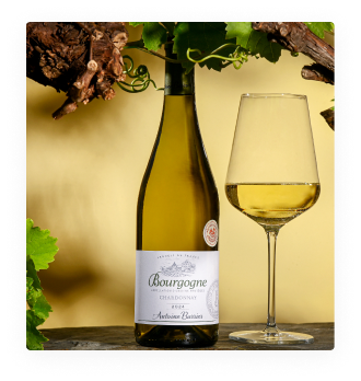 AOP Bourgogne Chardonnay Antoine Barrier