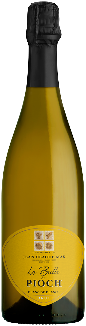 Bouteille de Vin Effervescent Vin de France Blanc de Blancs La Bulle du Pioch
