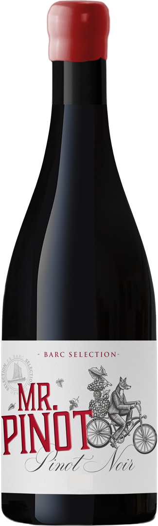 Bouteille de Vin Rouge Vin de France Mr Pinot