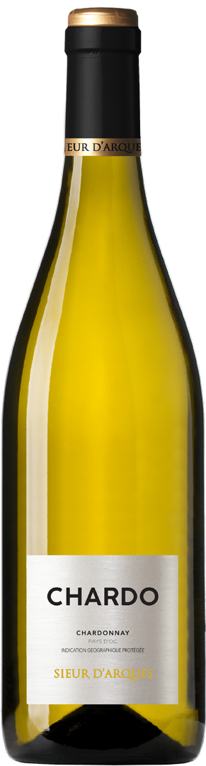 Bouteille de IGP(2) Vin Blanc sec Haute Vallée de l'Aude Sieur d'Arques Chardo by Sieur d'Arques