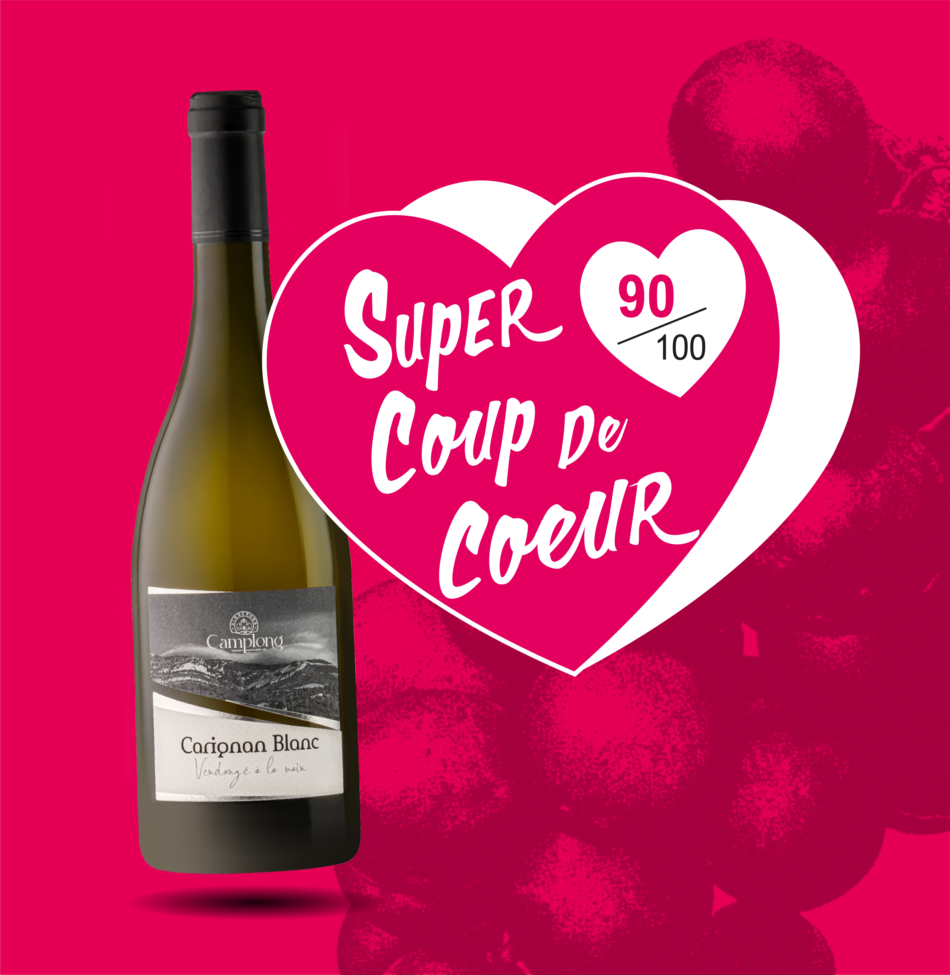 Vin de France Vin Blanc sec Carignan Blanc