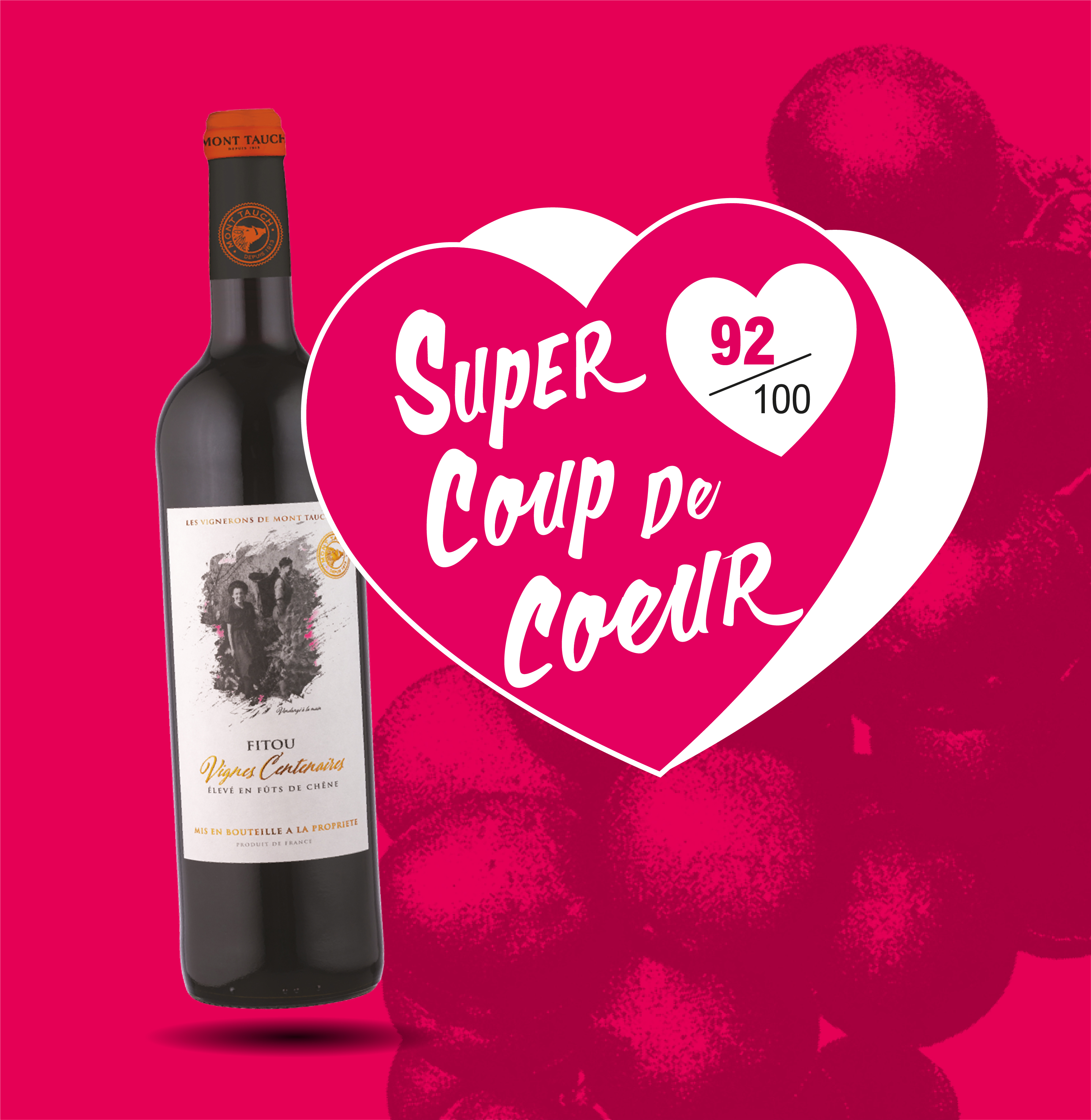AOP(1) Vin Rouge Fitou Vignes Centenaires