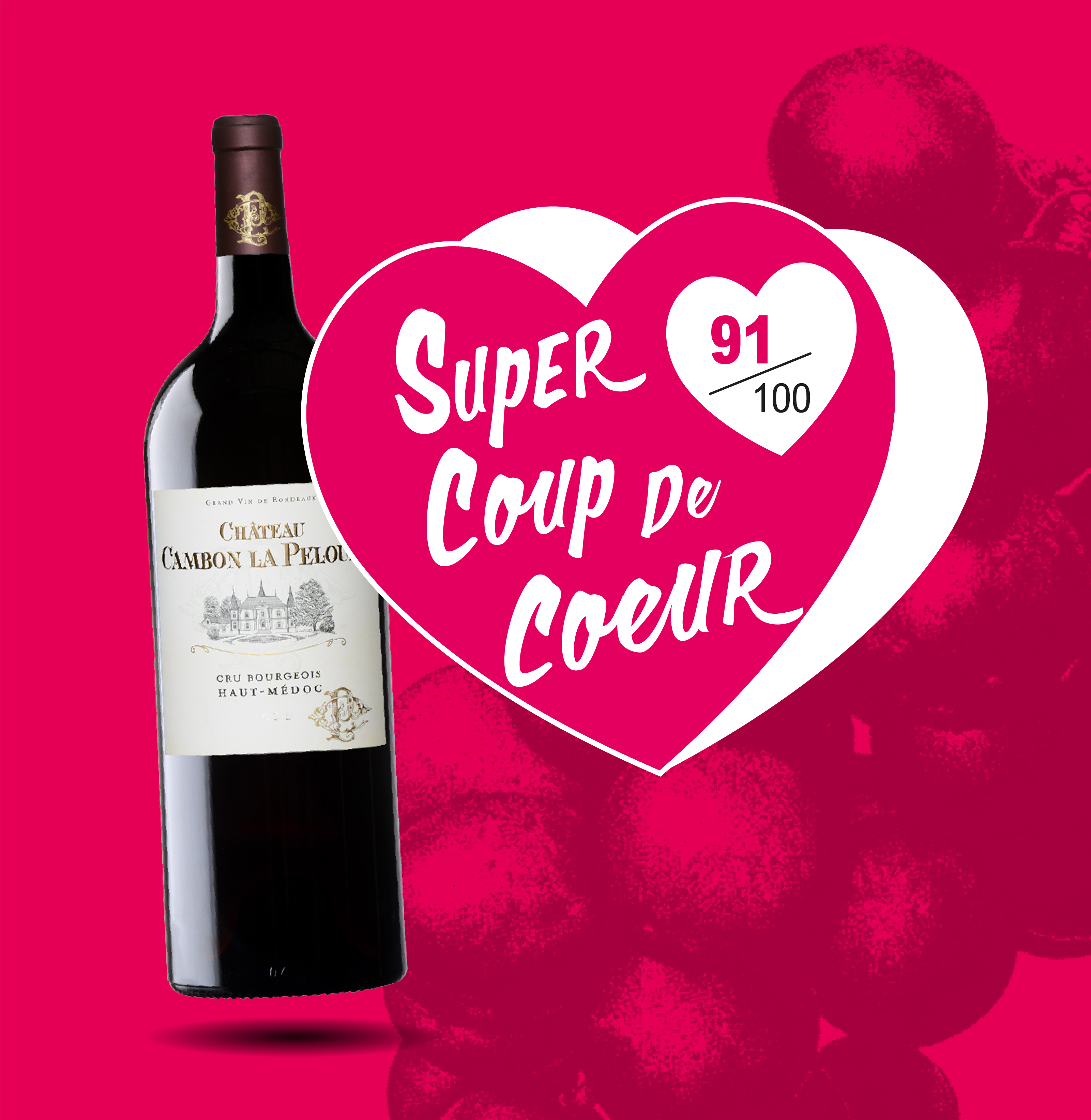 AOP(1) Vin Rouge Haut-Médoc Château Cambon La Pelouse