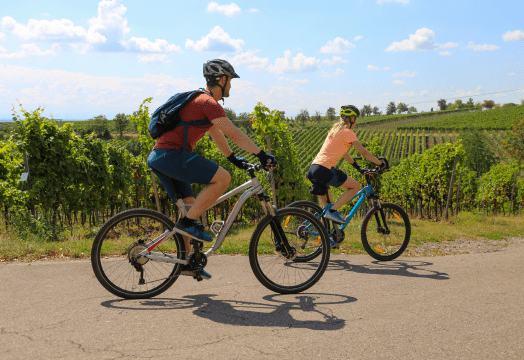 Illustration de l'article « Escapade à vélo au cœur de la Haute-Garonne »