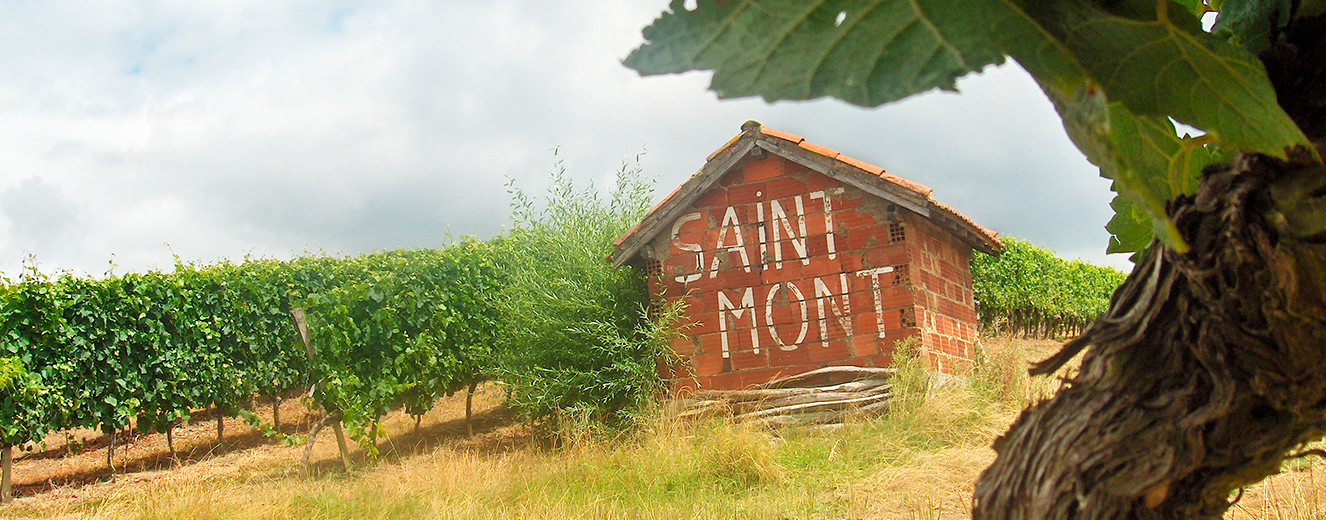 Illustration de l'article « Le Marquis de Seillan : le vin de Saint Mont à 3 couleurs »