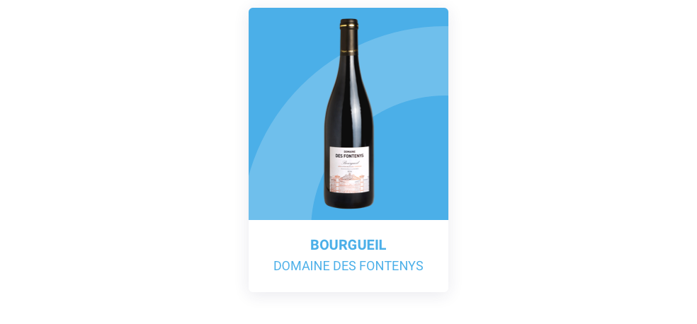 Bourgueil Domaine des Fontenys