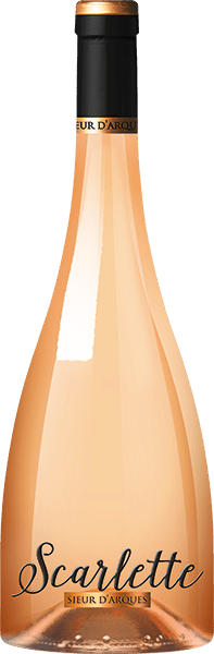 Bouteille de vin rosé IGP Pays D’OC « Scarlette », millésime 2023/2024 — vignoble Languedoc